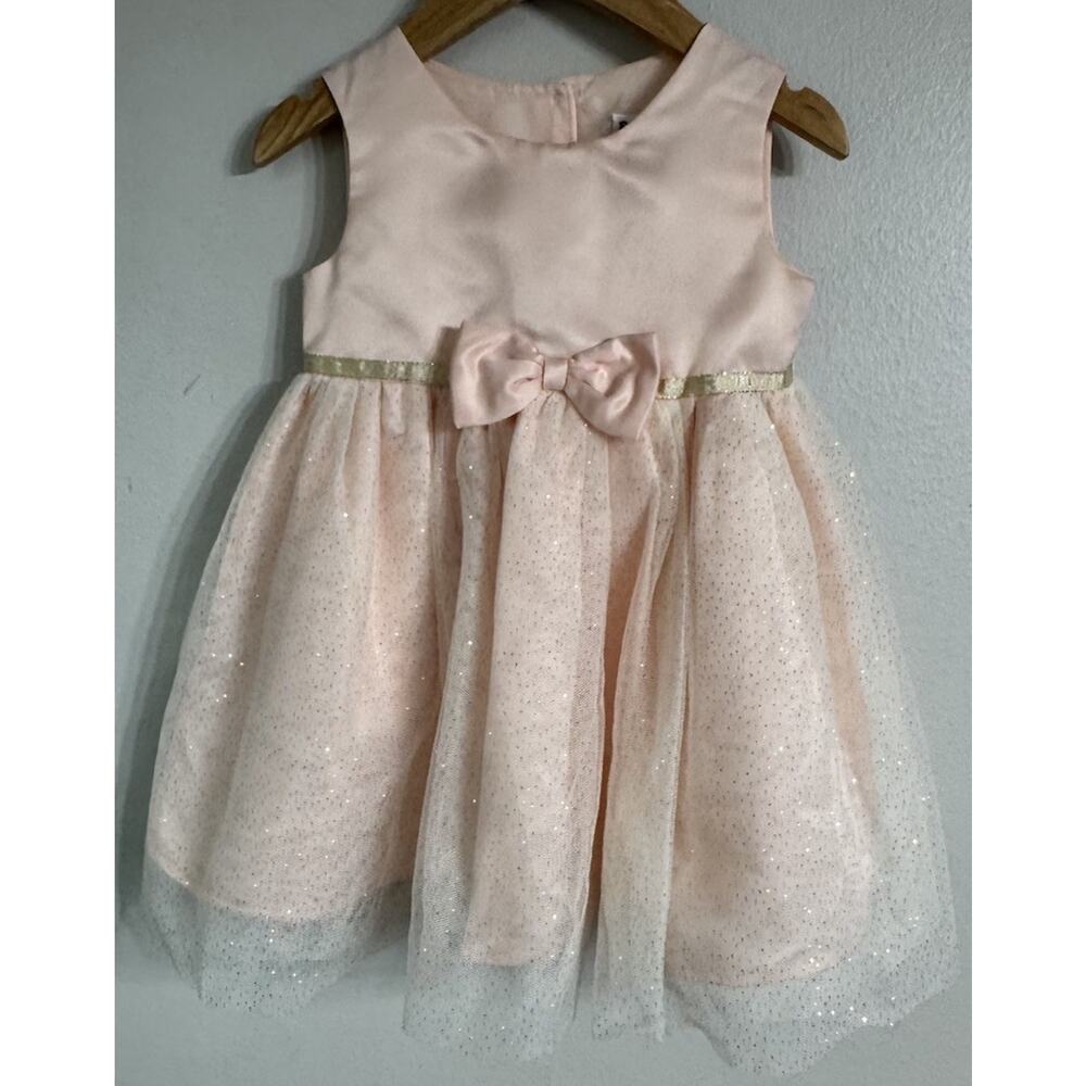 Blueberi Boulevard Coat Dress Girls 24 Months Pink Roses Easter Flower Girl NEW - Picture 9 of 15